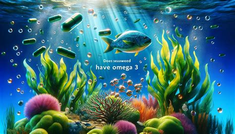 does seaweed have omega 3|does seaweed contain omega 3.